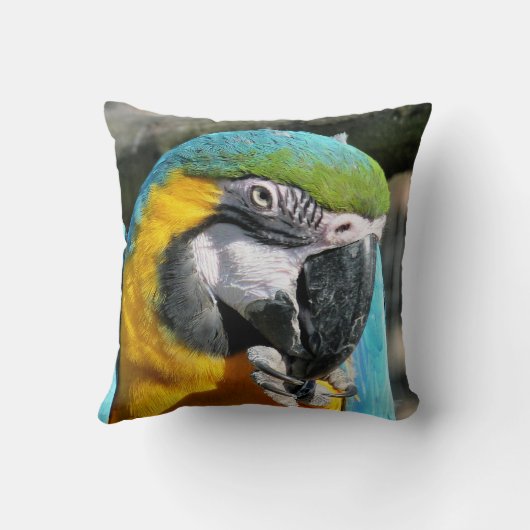 マクaws クッション (裏面)