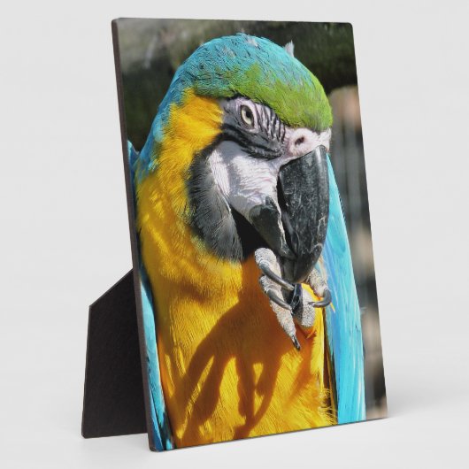 マクaws フォトプラーク (側面)