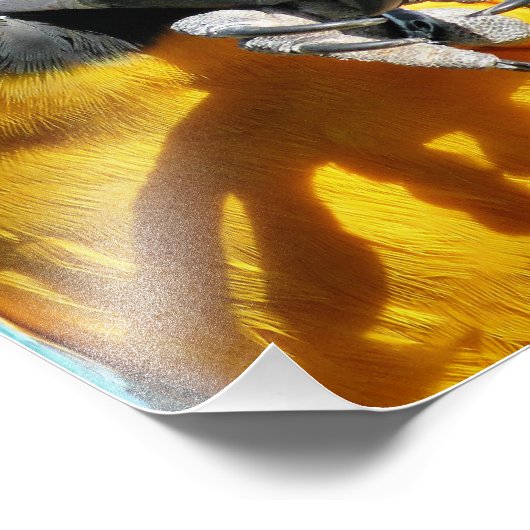 マクaws フォトプリント            (角)