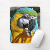 マクaws マウスパッド (マウス)