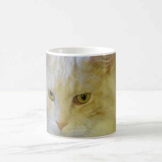 マグのコーヒーペットメインのあらいぐま猫Bentley コーヒーマグカップ (中央)