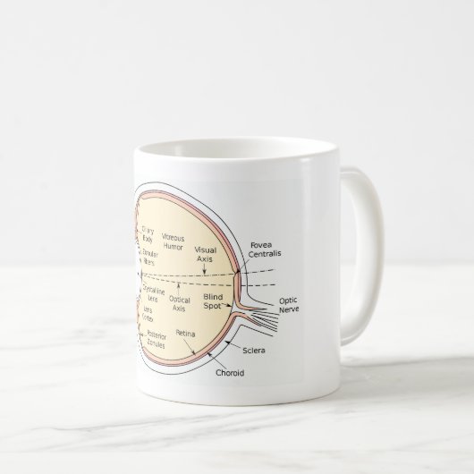 マグの人間の目の球の解剖図表 コーヒーマグカップ (正面右)
