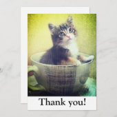 マグカップサンキューカード子猫 サンキューカード (正面/裏面)
