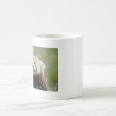 マグカップ写真の赤パンダ。パンダルークス。動物。 コーヒーマグカップ (中央)