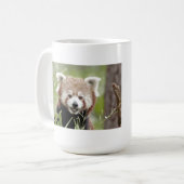 マグカップ写真の赤パンダ。パンダルークス。動物。 コーヒーマグカップ (正面左)