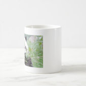 マグカップ写真ジャイアントパンダ。パンダが出る。 コーヒーマグカップ (中央)