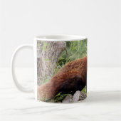 マグカップ写真レッドパンダ、動物。コーヒーマグ コーヒーマグカップ (左)