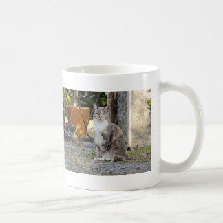 マグカップ写真通りネコ猫コーヒーマグカップ コーヒーマグカップ