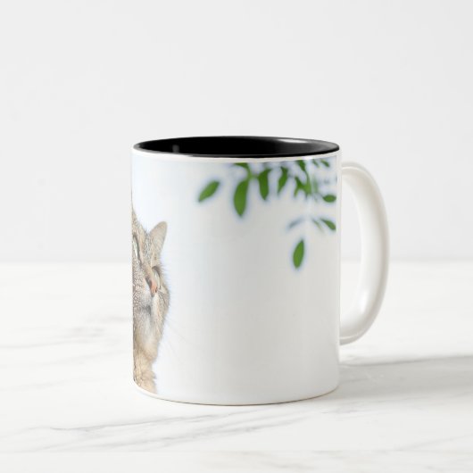 マグカップ (正面右)