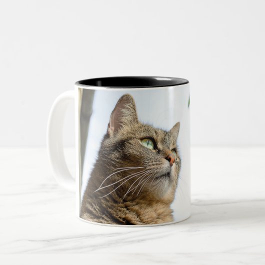 マグカップ (正面左)