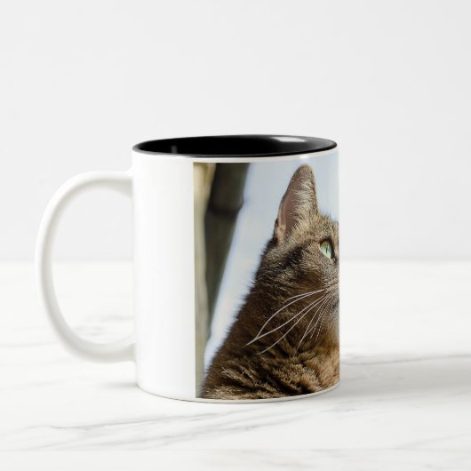 マグカップ (左)