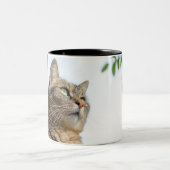 マグカップ (中央)