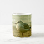 マグカップ – カリフォルニアシーガル (中央)