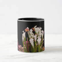 マグカップ、コーヒーマグ