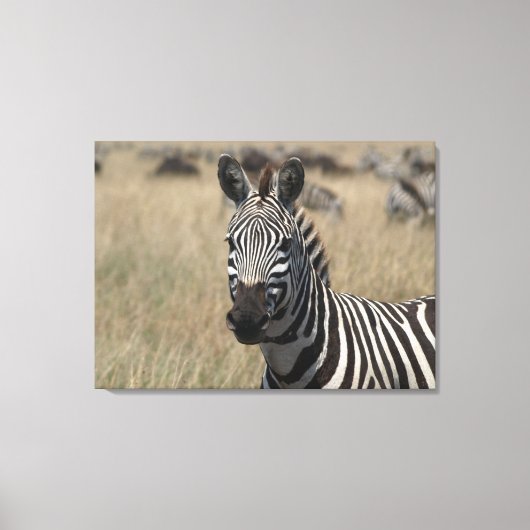 マグショット キャンバスプリント (正面)