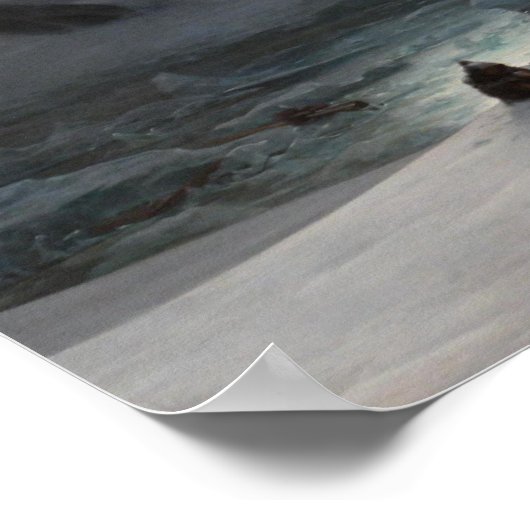 マグダレナ湾 ポスター (角)