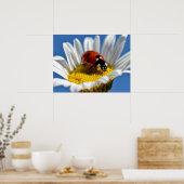 マグデイジーパッドのレディーバグ ポスター (キッチン)