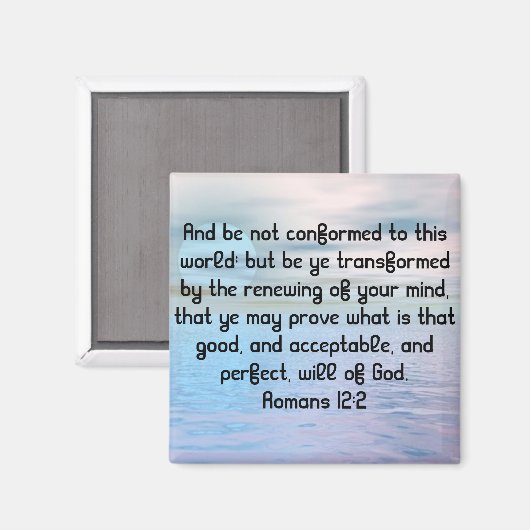 マグナテ マグネット (正面/裏面)