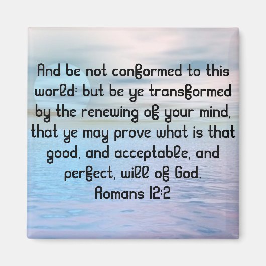 マグナテ マグネット (正面)