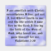 マグナテ マグネット (正面)