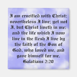 マグナテ マグネット