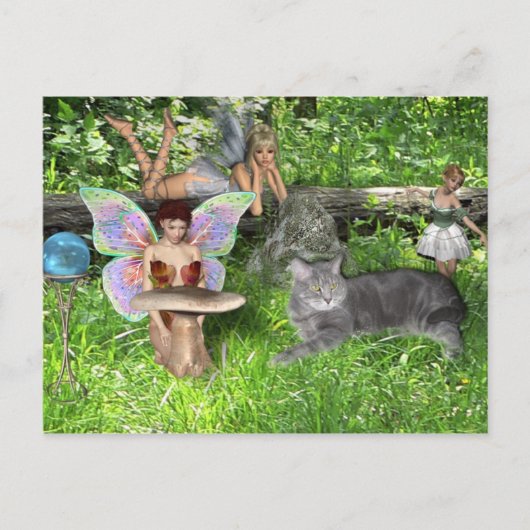 マグナム記念はがき ポストカード (正面)