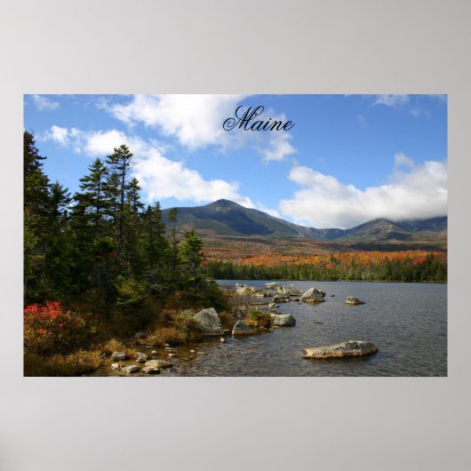 マグニフィセントメイン ポスター (正面)