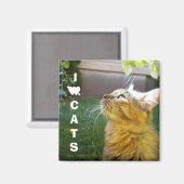 マグネットが大好き マグネット (正面/裏面)