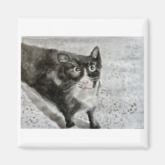 マグネットで子猫をミトンにする マグネット