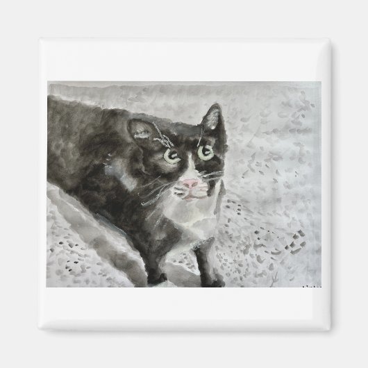 マグネットで子猫をミトンにする マグネット (正面)