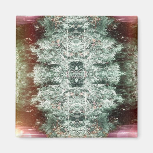 マグネットの'キャプチャ' マグネット (正面)