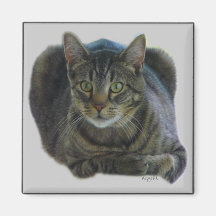 マグネットの保護