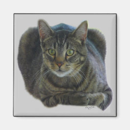 マグネットの保護 マグネット