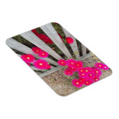 マグネットの大きなピンクのヒナギク マグネット (右側)