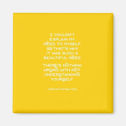 マグネットの理解 マグネット (正面)