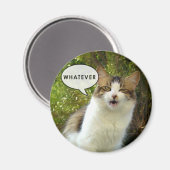 マグネットの種類01 マグネット (正面/裏面)