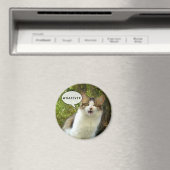 マグネットの種類01 マグネット (インサイチュ (食洗機))