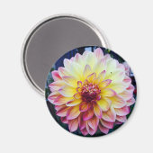 マグネットの美しいダリア マグネット (正面/裏面)