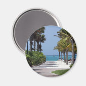 マグネットアルバ マグネット (正面/裏面)