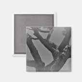 マグネットアート&デザイン装飾スタイル マグネット (正面/裏面)