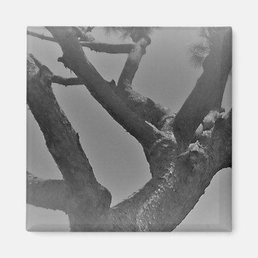 マグネットアート&デザイン装飾スタイル マグネット (正面)