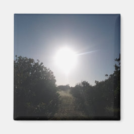 マグネットアート&デザイン装飾 マグネット