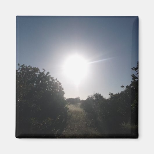 マグネットアート&デザイン装飾 マグネット (正面)