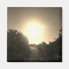 マグネットアート&デザイン装飾 マグネット