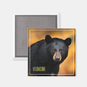 マグネットイエローストーンブラックベア マグネット (正面/裏面)