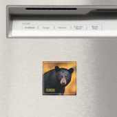 マグネットイエローストーンブラックベア マグネット (インサイチュ (食洗機))