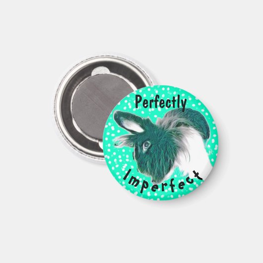 マグネットインスパイアおもしろいバニー マグネット (正面/裏面)