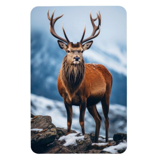 マグネットエルク マグネット (縦)