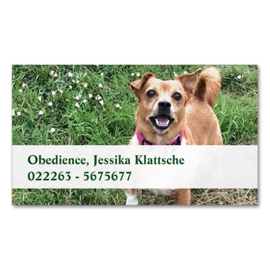 マグネットカード マグネット名刺 (正面)