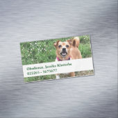 マグネットカード マグネット名刺 (インサイチュ)